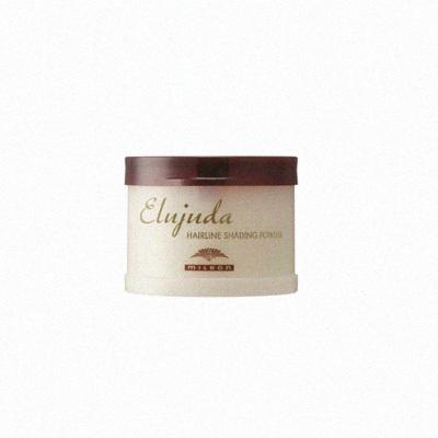 エルジューダ ヘアライン シェーディング パウダー_24%